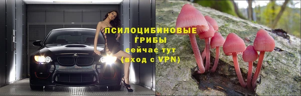 spice Переславль-Залесский