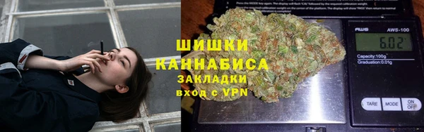 трава Пересвет