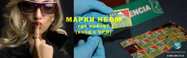 трава Пересвет