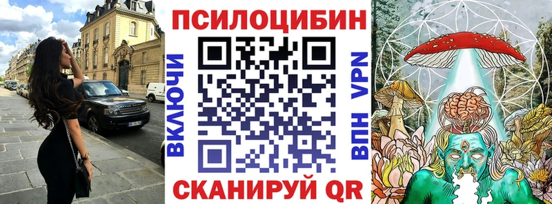 кракен онион где найти Заинск Псилоцибиновые грибы Magic Shrooms