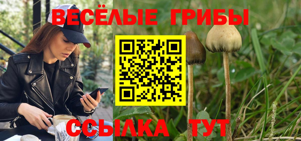 Псилоцибиновые грибы мицелий Заинск
